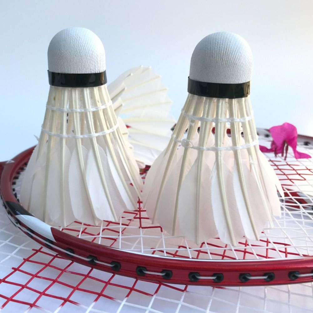 3/6/12Pcs Neue Weiß Badminton  – Badminton House Bewertung und Preis